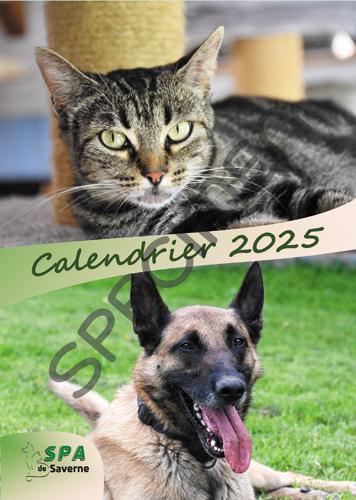 00 couverture calendrier 2025 eclairicie 1