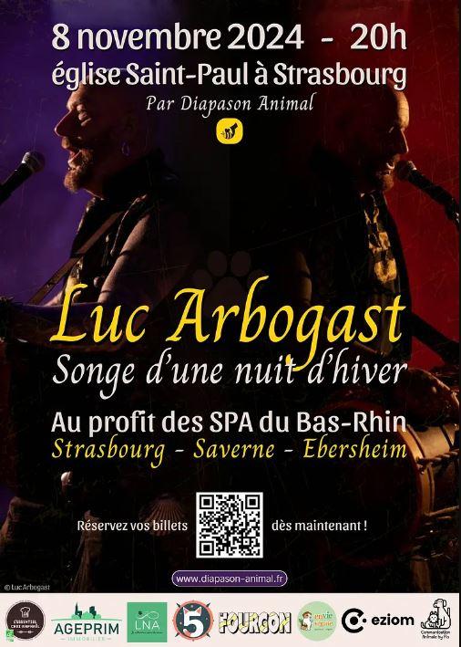 Affiche concert luc arbogast