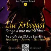 Affiche concert luc arbogast