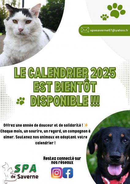 Affiche info arrivee calendrier