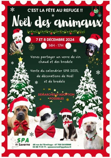 Affiche noel 2024